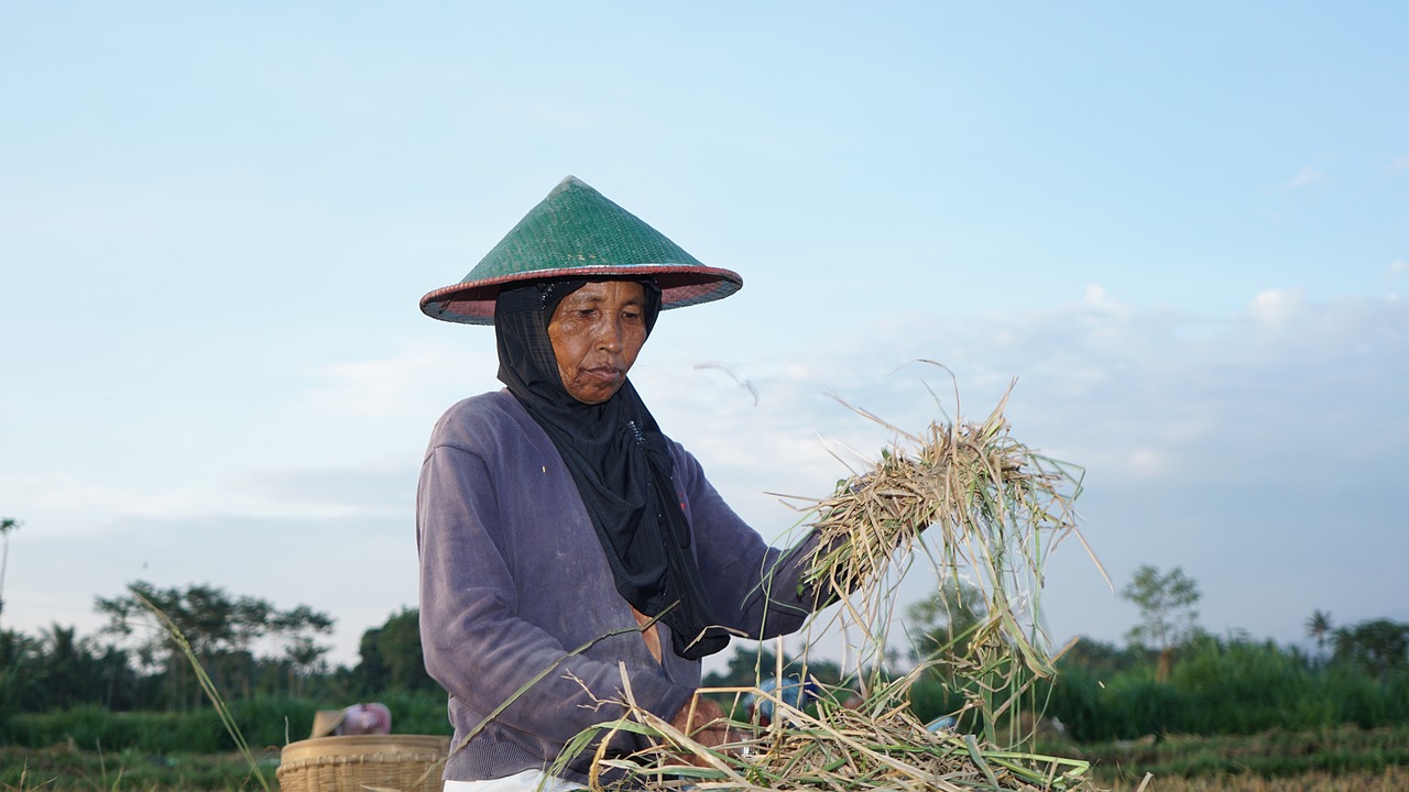 Celebrating Unity in Diversity at Indonesia's Pasola Festival